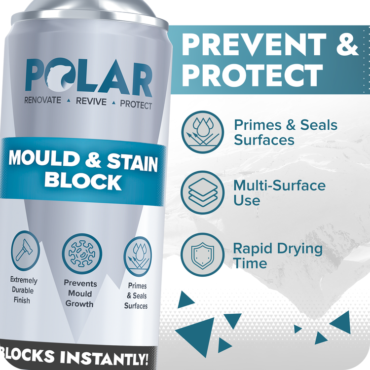 stain blocking paint