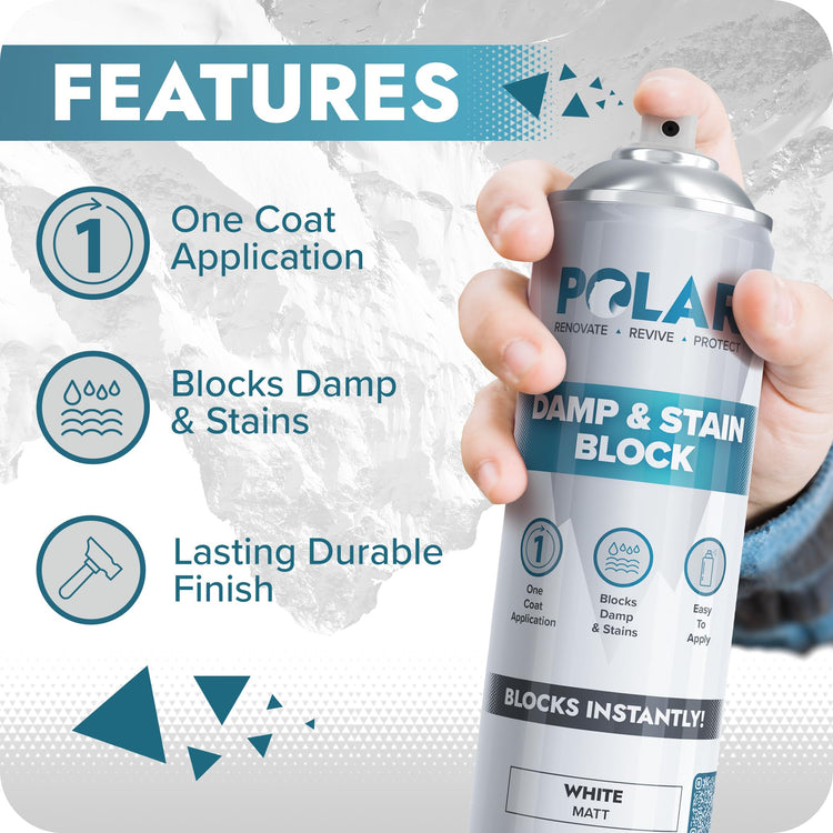 damp proof paint
