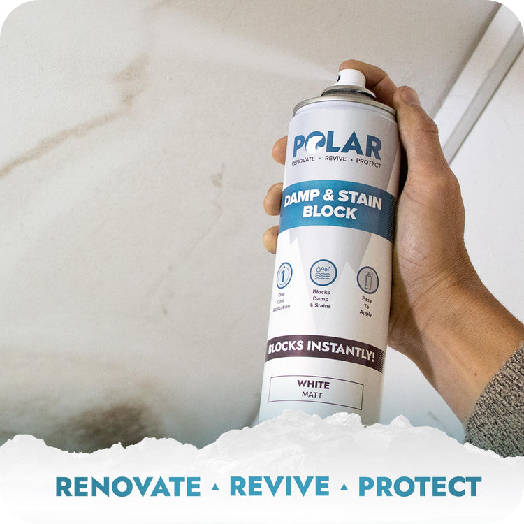 damp proof paint