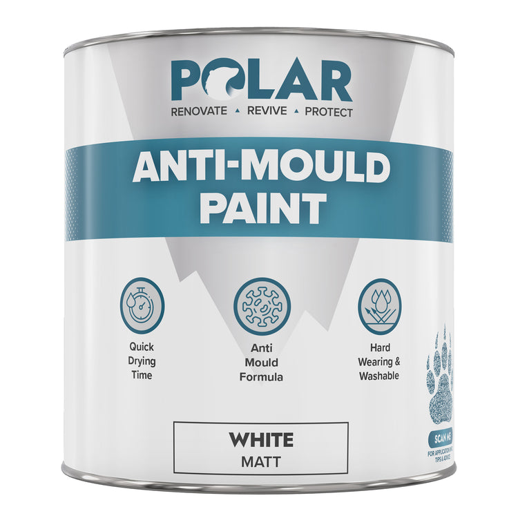 mould resistant paint