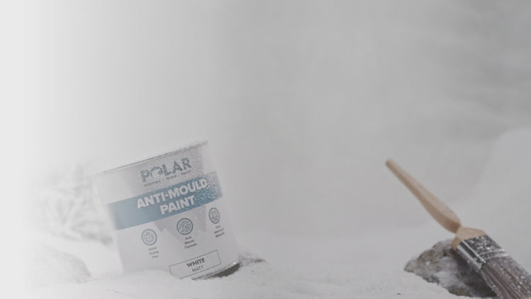 mould resistant paint