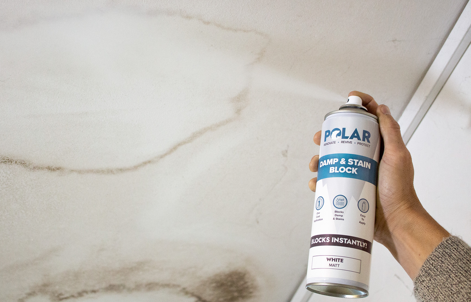 Polar Damp & Stain Paint & Spray Prevent & Protect Interior Walls