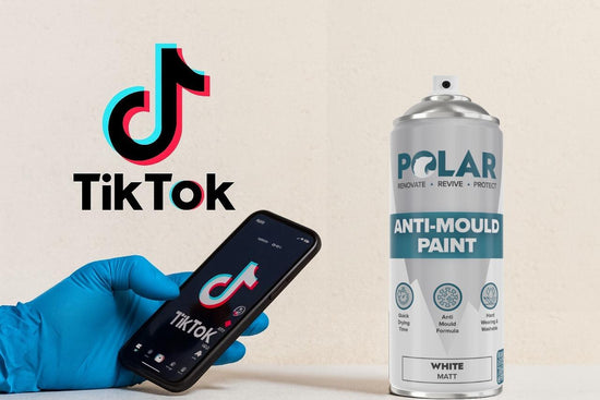 best Anti Mould Spray