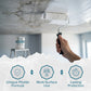 Polar Stain Block Paint | White Interior Stain Blocking Undercoat