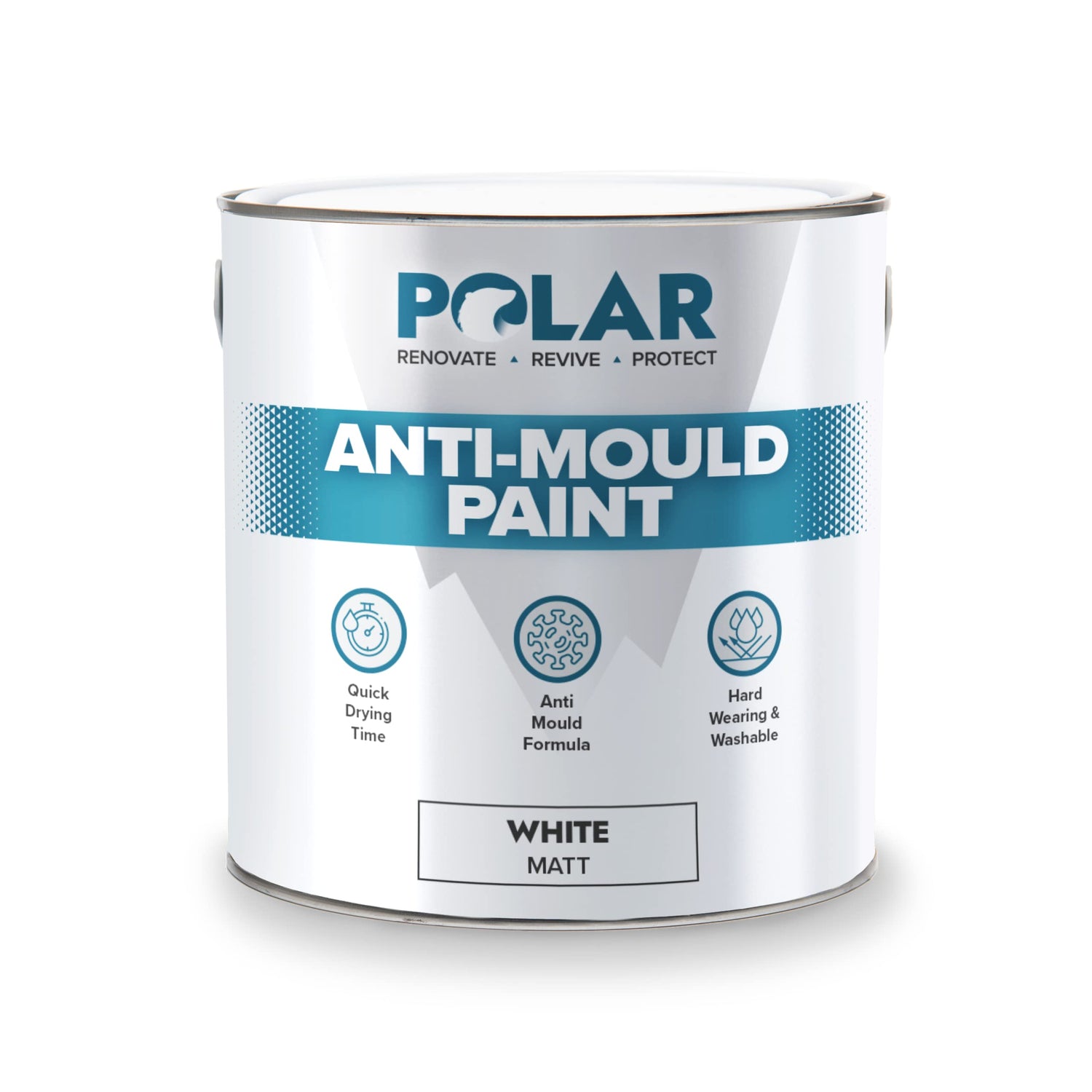 anti mould paint