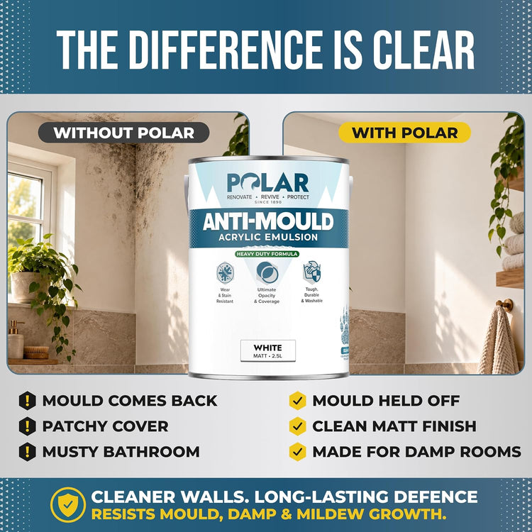 Wall before and after Polar Anti-Mould Acrylic Emulsion: mould held off with a clean matt finish