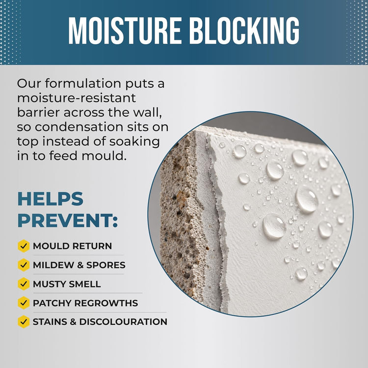 Moisture blocking formula in Polar Anti-Mould Acrylic Emulsion helps prevent mould return, mildew, musty smells and stains
