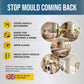 Polar Anti-Mould Acrylic Emulsion stops mould coming back: made for bathrooms and kitchens, wipe-clean, heavy-duty mould protection