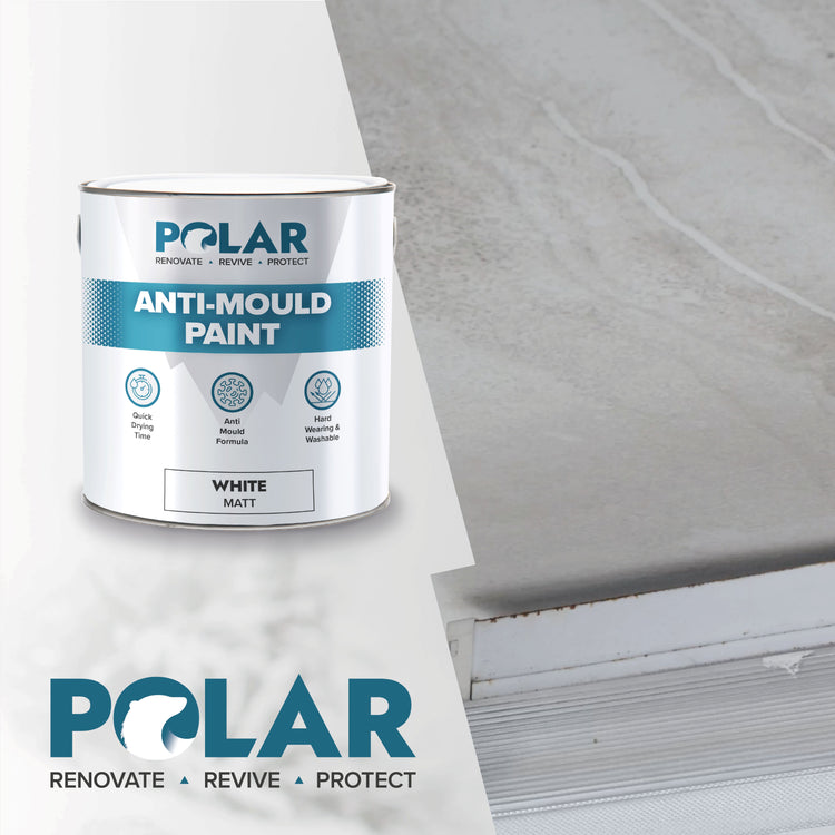 polar anti mould paint