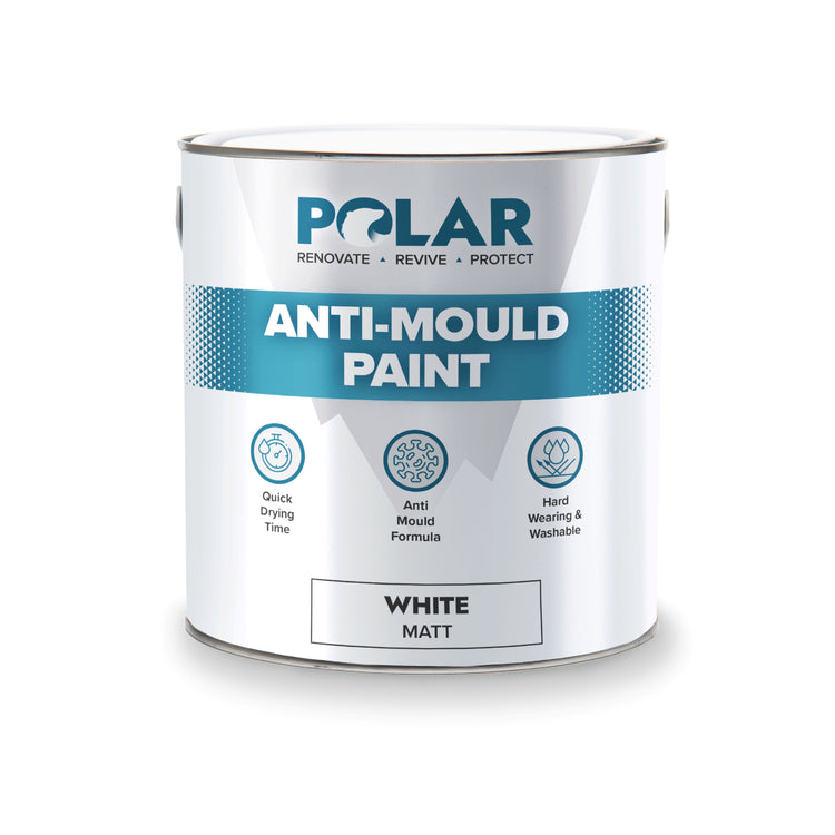 anti mold paint