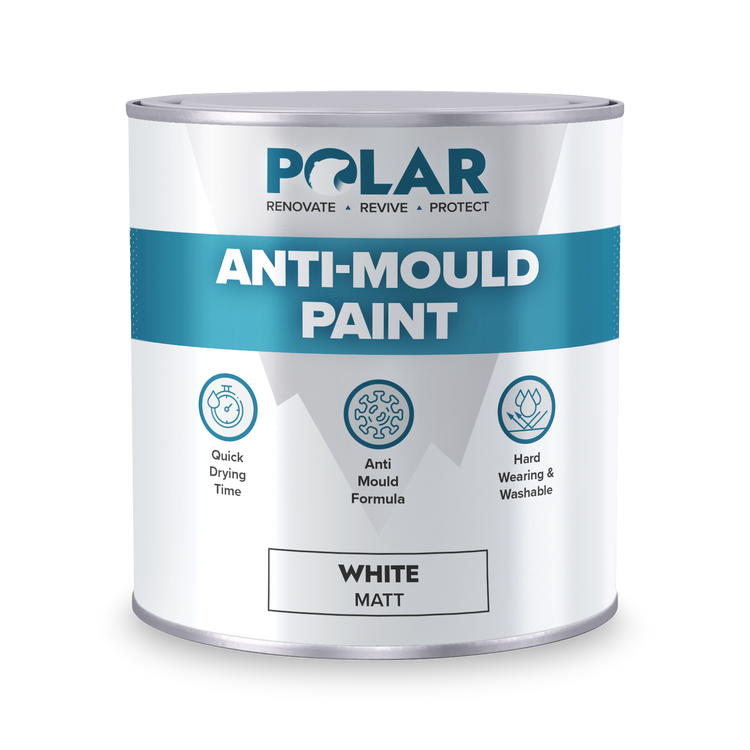 mould paint