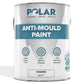 Polar Anti-Mould Paint