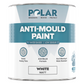 Polar Anti-Mould Paint