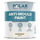 Polar Anti-Mould Paint