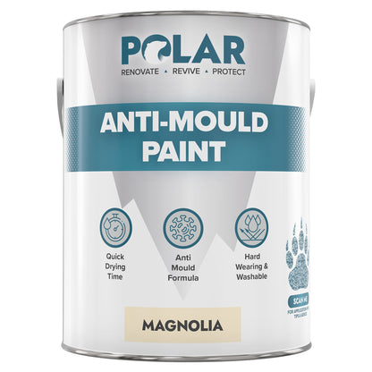 Polar Anti-Mould Paint