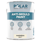 Polar Anti-Mould Paint