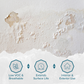 Polar Clear Binding Primer | Wall & Surface Sealer for Problem Areas