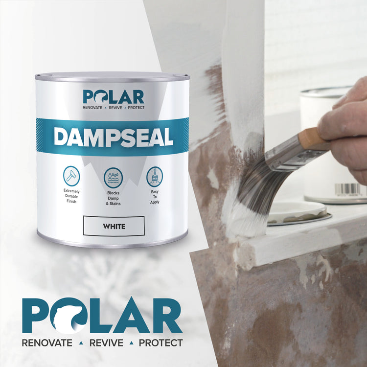 dampseal paint