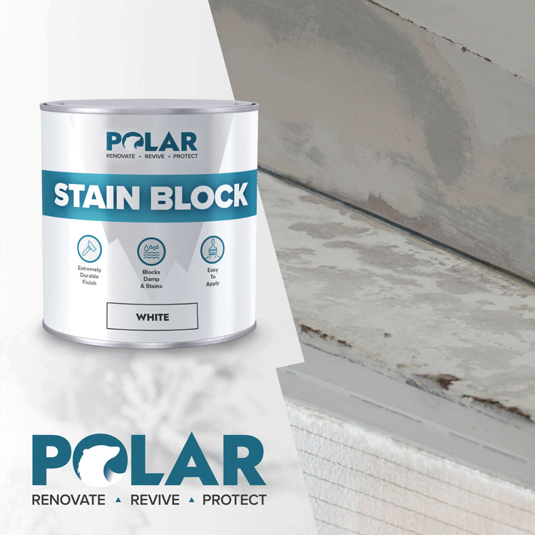 stain blocker paint